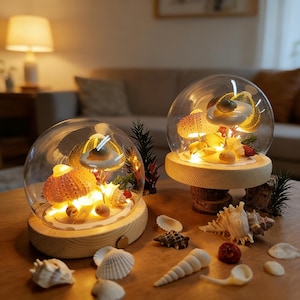 May include: Two illuminated glass dome terrariums with seashell and sea urchin decor. The terrariums sit on wooden bases and are lit with warm white lights. Seashells and other marine elements are scattered around the bases.