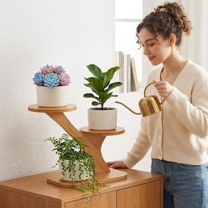 May include: A tiered wooden plant stand with three circular shelves holding a white pot with colorful succulents, a white pot with a green fiddle leaf fig, and a white pot with a trailing string of pearls plant, being watered by a gold watering can.