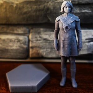 May include: A gray 3D printed figurine of a person with short hair and antennae, wearing a textured tunic with a scale-like pattern on the shoulders and chest, paired with simple boots. A separate gray hexagonal base sits next to the standing figure.