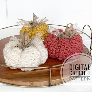 Digital Crochet Pattern | Crochet Pumpkin Pattern | Home Decor Pattern | Seasonal Crochet Pattern | Fall Crochet Pattern | Fall Decor