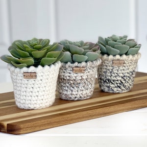 DIY Crochet Pattern Crochet Planter Pattern The Pirouette Planter Crochet Pattern DIY Craft Christmas Crochet Pattern image 2