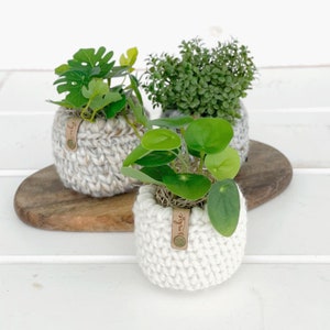 Crochet Plant Cozy Pattern Small Crochet Planter Pattern DIY Plant Pot Cover DIY Crochet Basket Pattern Crochet Plant Pot Cover image 2