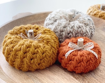 Crochet Pumpkin Pattern PDF – Chunky Tabletop Fall Decor, Textured Feather Stitch Pumpkin, Bulky Yarn, 2 Sizes