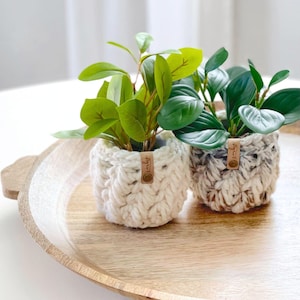 May include: Two small artificial green plants in textured, hand-crocheted covers. One cover is solid cream, the other is a variegated brown and cream blend. Each features a small, tan leather-like tag with the embossed text "smbqe" attached.