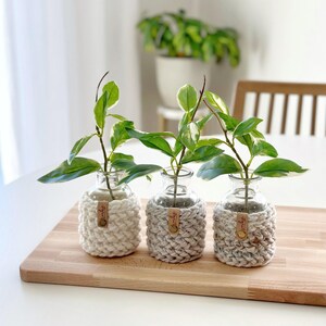 Crochet Plant Cozy Pattern | The Herringbone Planter Pattern | Digital Crochet Pattern | DIY Craft | Crochet Home Decor Pattern image 6