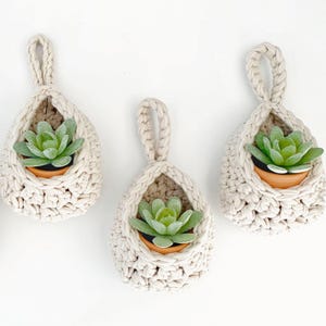 May include: Three cream-coloured macrame plant holders. Each features a woven design and holds a small, green succulent in a terracotta pot. The holders hang against a white backdrop, offering a minimalist style.