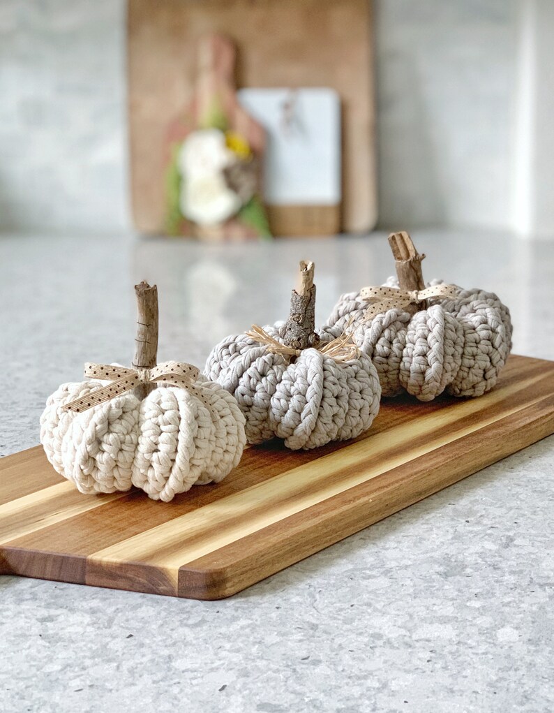 Crochet Pumpkin Pattern DIY Crochet Pattern Farmhouse Pumpkins Farmhouse Decor Fall Decor DIY Crafts Do it Yourself Crochet image 7