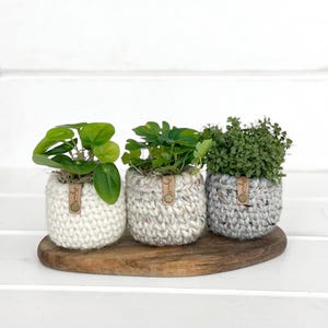 May include: Three small potted plants in chunky knit covers. The left cover is solid cream, the middle is a variegated beige and white, and the right is a speckled grey. Each features a small tan leather tag with the embossed text smke.