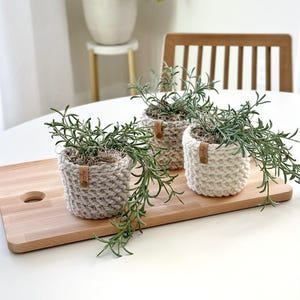 Crochet Plant Cozy Pattern | The Herringbone Planter Pattern | Digital Crochet Pattern | DIY Craft | Crochet Home Decor Pattern image 8