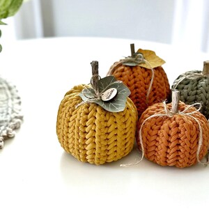 Herringbone Crochet Pumpkin Pattern – Easy Fall Decor, 3 Sizes, Beginner Friendly, DIY Autumn Pumpkin image 7