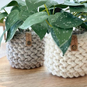 Crochet Plant Cozy Pattern | The Herringbone Planter Pattern | Digital Crochet Pattern | DIY Craft | Crochet Home Decor Pattern image 5