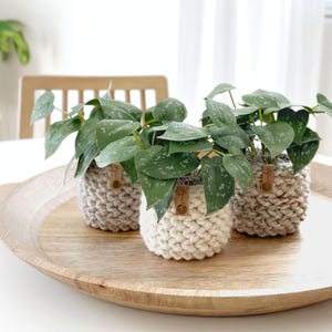 Crochet Plant Cozy Pattern | The Herringbone Planter Pattern | Digital Crochet Pattern | DIY Craft | Crochet Home Decor Pattern