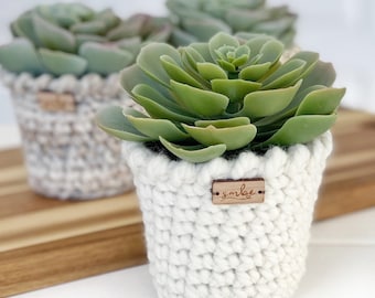 DIY Crochet Pattern | Crochet Planter Pattern | The Pirouette Planter Crochet Pattern | DIY Craft | Christmas Crochet Pattern