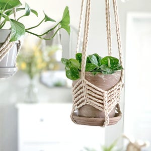 May include: A cream-coloured macrame plant hanger featuring a chevron knot pattern, holding a terracotta-coloured pot with a matching saucer. The pot contains a green plant with variegated leaves. A second hanging pot is partially visible on the left.