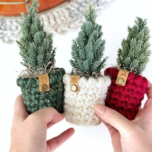 Può includere: Tre alberi sempreverdi artificiali in miniatura in vasi all'uncinetto. I vasi sono verde scuro, bianchi e rossi, ognuno con una piccola etichetta in pelle marrone chiaro con un bottone a pressione in metallo dorato. Le etichette mostrano icone in rilievo.