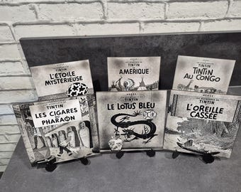 Albums Tintin Gravure Laser sur carrelage
