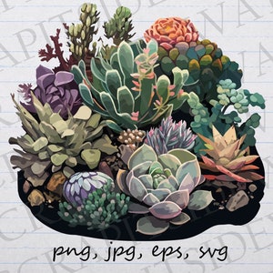 Succulents clipart vector graphic svg png jpg eps cacti cactus