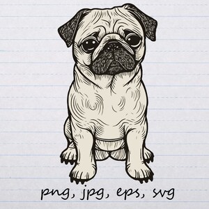 Lindo Pug clipart vector gráfico svg png jpg eps cachorro perro