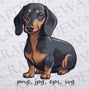 Dackel Clipart Vektorgrafik svg png jpg eps POD Design Hundewelpe Dackel Hund