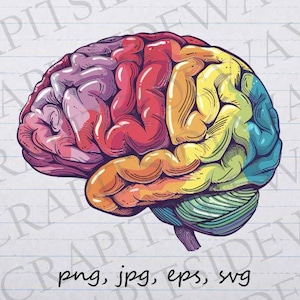 Regenbogen Gehirn Clipart Vektor Grafik svg png jpg eps, buntes Gehirn, anatomisches Gehirn