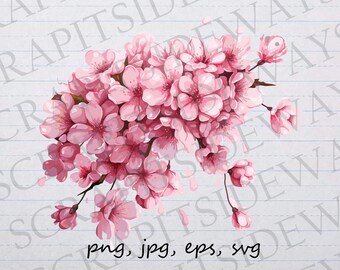 Cherry blossom flowers clip art clipart vector graphic svg png jpg eps florals, botanicals, sakura flowers, pink flowers