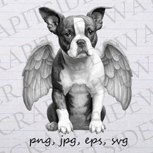 Angel Boston terrier clipart vector graphic svg png jpg eps sticker design t-shirt design heaven puppy