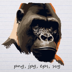 Gorilla portret vectorafbeelding svg png jpg eps clipart dier dierentuin aap aap