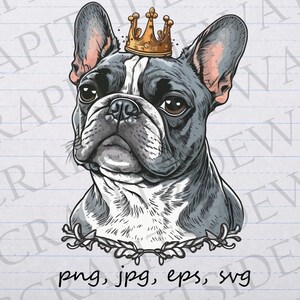French Bulldog in a crown clipart vector graphic svg png jpg eps sticker design t-shirt design king dog prince royalty