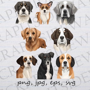 8 piece Dog breed clipart set svg Vector clipart png puppy dog head dog face