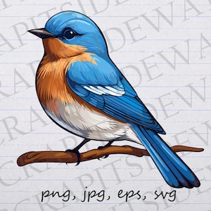 Oiseau bleu clipart vectoriel svg png jpg eps oiseau, amateur d'oiseaux, observateur d'oiseaux, oiseau mignon, joli oiseau