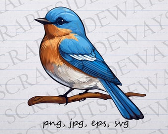 Bluebird clipart vector graphic svg png jpg eps bird, bird lover, bird watcher, cute bird, pretty bird