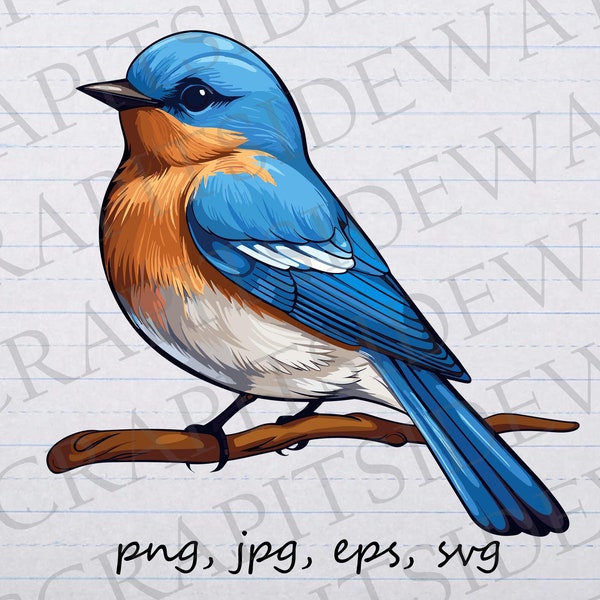 Bluebird clipart vector graphic svg png jpg eps bird, bird lover, bird watcher, cute bird, pretty bird