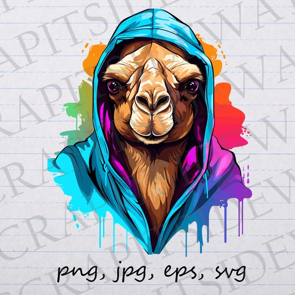 Camel in a hoodie vector graphic svg png jpg eps street punk camel colorful camel in sweatshirt