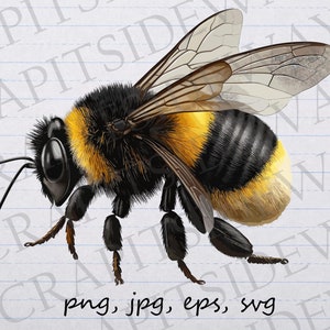 May include: A close-up of a bumblebee with black and yellow stripes. The bee has fuzzy hair and is in flight with its wings spread out.