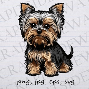 Cute Yorkie 2 clipart vector graphic svg png jpg eps dog puppy Yorkshire terrier