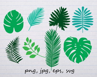 lot of 8 Tropical leaves clipart vector graphics and elements svg png jpg eps monstera leaf foliage