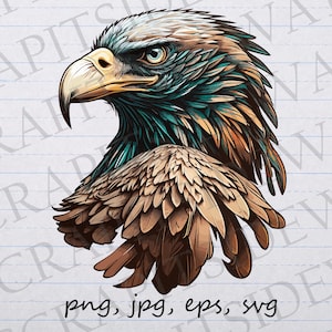 Weißkopfseeadler Kopf Clipart Vektorgrafik svg png jpgeps Vogel Amerikanisch