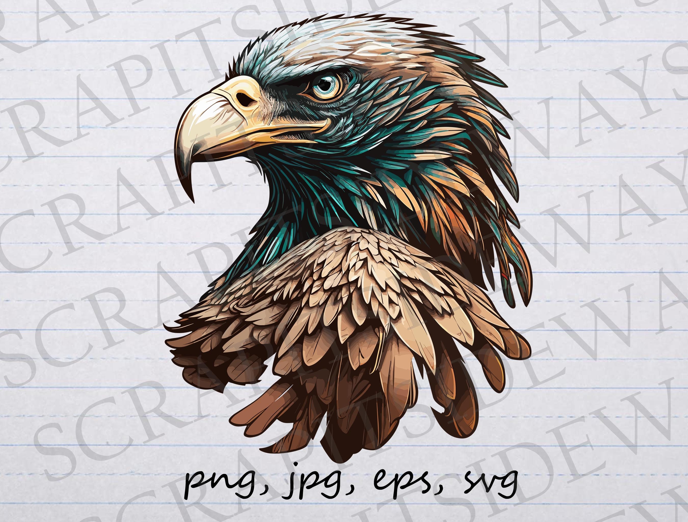 Bald Eagle Head Clipart Vector Graphic Svg Png Jpg Eps Bird American - Etsy