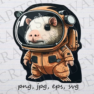 Funny Aesthetic Women T-shirt Guinea Pig Space Astronauts Print