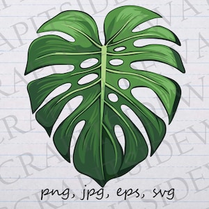 May include: A digitally illustrated, vibrant green Monstera leaf with distinctive fenestrations. The leaf is centrally positioned against a lined paper background. The image includes the file type notations: png, jpg, eps, and svg.