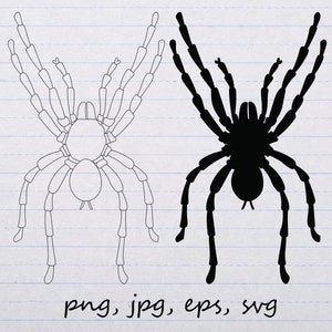 Tarantula spider clipart vector graphic svg png jpg eps bug insect creepy halloween spooky