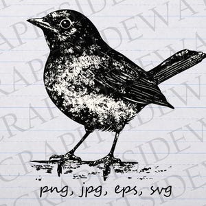 zwart-wit Grunge vogel glinsterende clip art clipart vector grafische svg png jpg eps, vogelliefhebber, vogelaar, schattige vogel, mooie vogel, grungy vogel