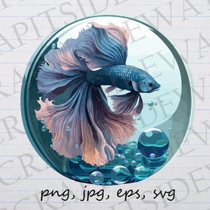 Betta Fish in bowl clipart vector graphic svg png jpg eps aquarium fish tank