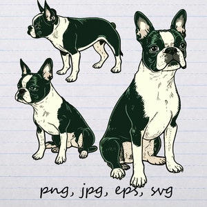 Boston Terriers clipart vector graphic svg png jpg eps puppy dog boston terrier