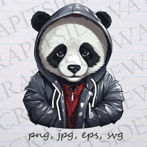 May include: A black and white panda wearing a gray hooded jacket with a red zipper. The panda has a serious expression and is looking directly at the viewer.
