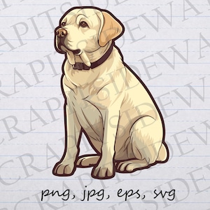 Golden labrador retriever clip art clipart vector graphic svg png jpg eps, golden lab, puppy dog, pet, pretty dog, dog breed