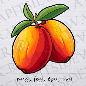 May include: Two red and yellow fruits with green leaves. The fruits are round and have a smooth texture.