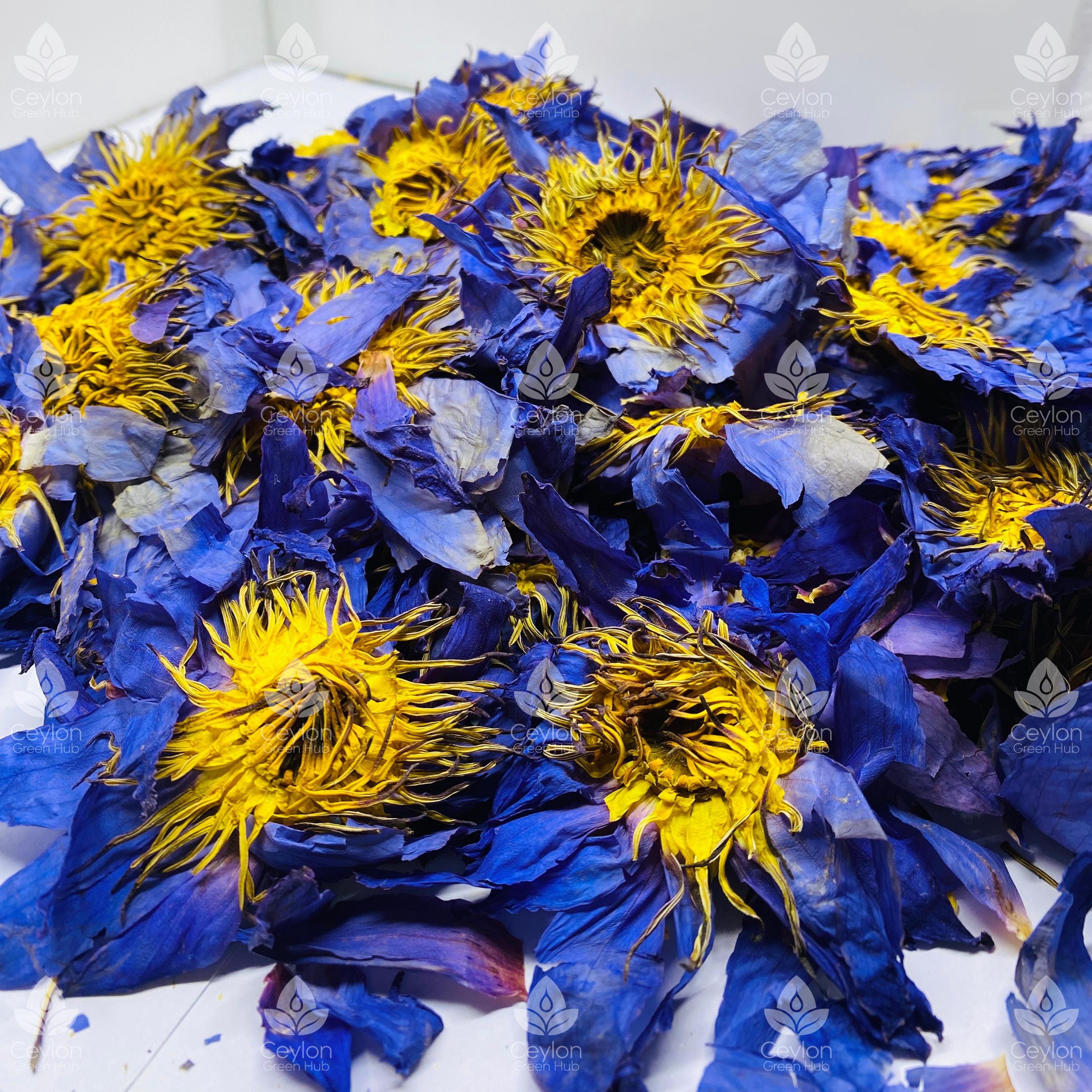 Blue lotus flower - Etsy 日本