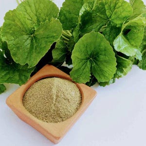 Può includere: Foglie verdi fresche di gotu kola e una piccola ciotola di legno piena di polvere di gotu kola finemente macinata. Le foglie sono grandi e venate, la polvere è di colore verde-marrone chiaro.