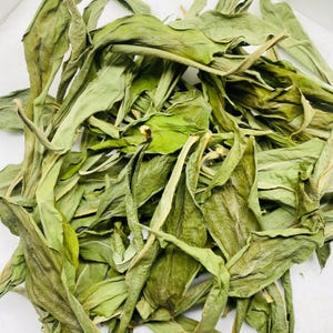 May include: A collection of dried green leaves, displaying a range of shapes and textures. The leaves vary in shade from light to dark green, with some areas showing brown hues. The image is a close-up, highlighting the details of the dried foliage.